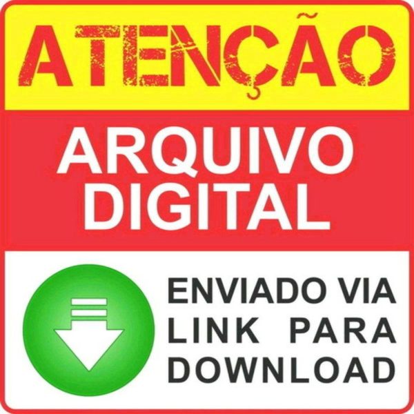Topo Sonic + 4 Arquivos a Sua Escolha - Imagem 2