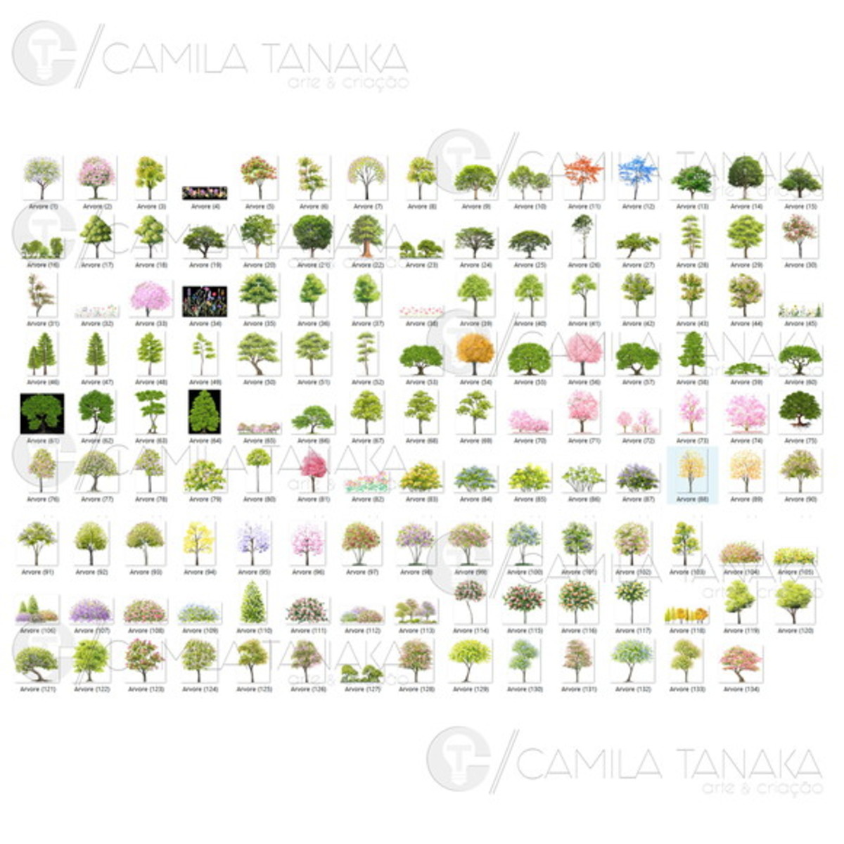 Kit Digital Arvores Aquarela 2 (pague 1 Leve 3) - Imagem 2