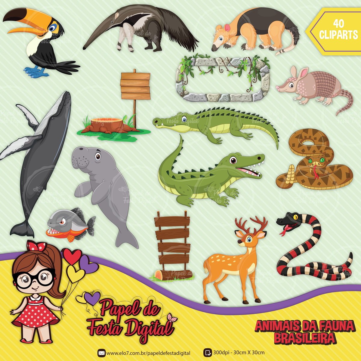 Kit Digital Completo Animais da Fauna Brasileira - Imagem 3