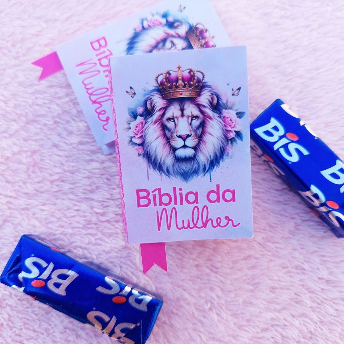 Arquivo de Corte Mimo Biblia da Mulher para 2 Bis #17001 - Imagem 3