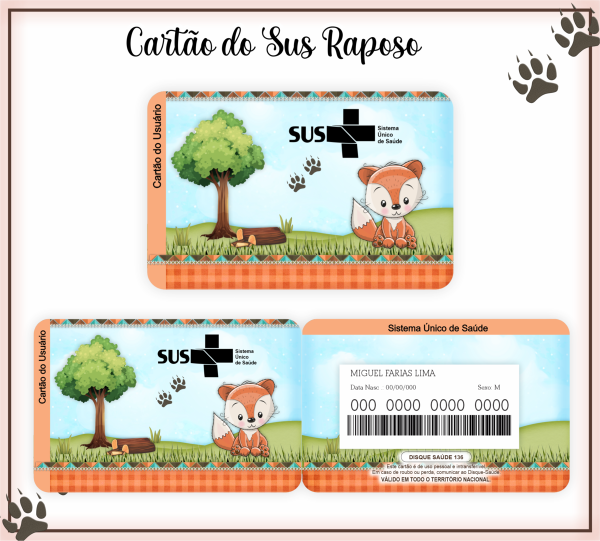 Cartão SUS Raposa